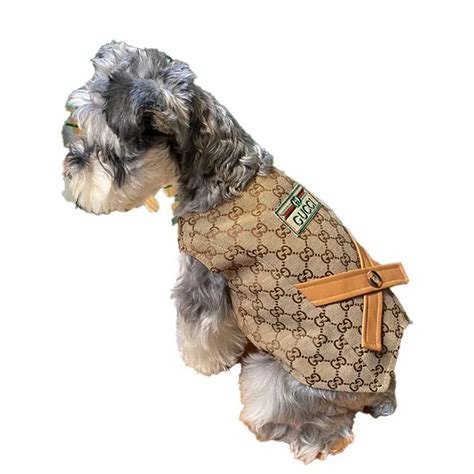 gucci dog clothes uk|glamour mutt dog boutique.